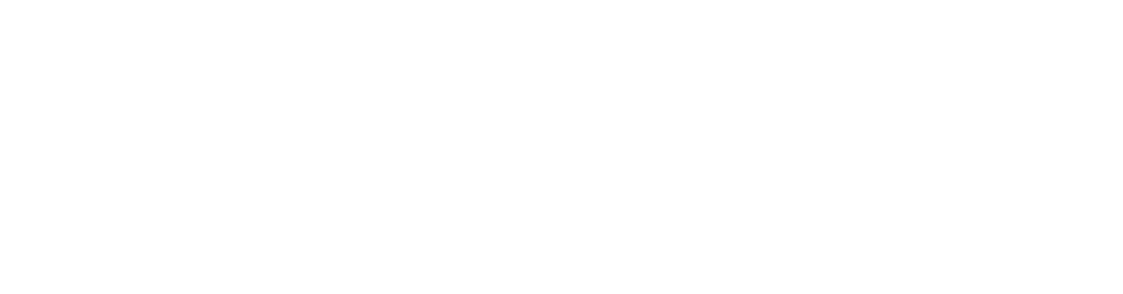 Bilginomist